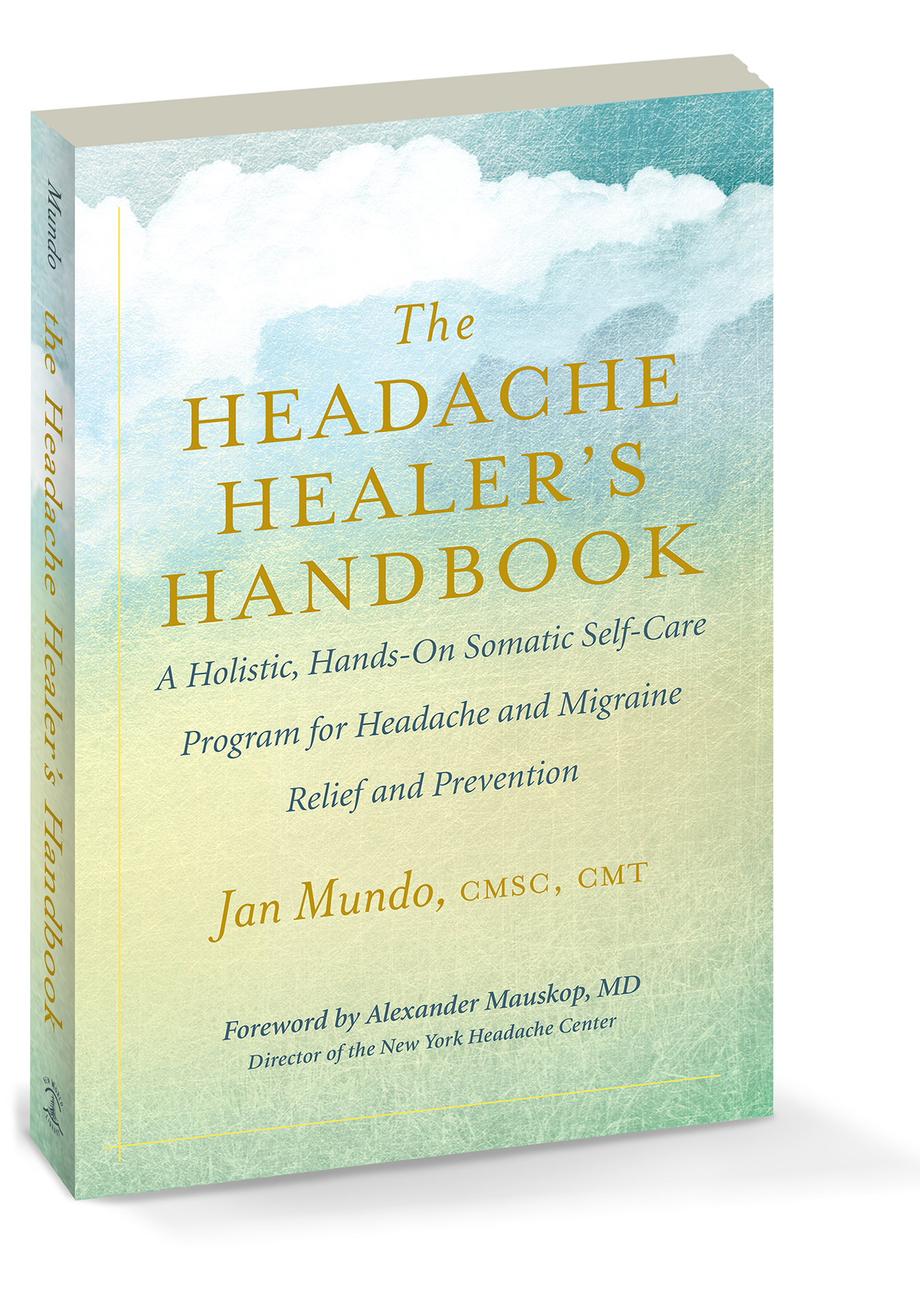 HeadacheHealers_6x9_3d